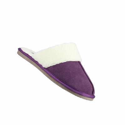 Chaussons Hush Puppies Arianna Mule Femme Violette | FORY52307
