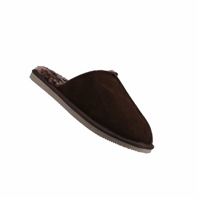 Chaussons Hush Puppies Coady Homme Marron | IHEY58273